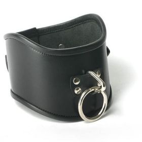 Strict Leather Locking Posture Collar- Medium